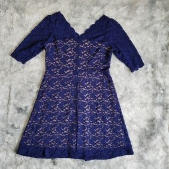 NWOT Dress Barn Blue 3/4 Sleeve Lined Lace Overlay Scalloped Blue Nude Dress 14 - Picture 2 of 10